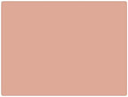 Yeah Baby Goods Silicone Toddler Placemat, Pale Terracotta by YeahBabyGoods