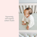 Newton Baby Fitted Crib Sheet 2-Pack, Organic Cotton - Image 5