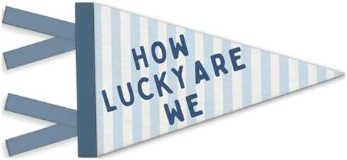 Boys Room Decor, How Lucky Are We Motivational Banners Flags by Unknown