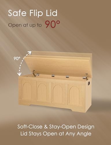 DINZI LVJ Storage Chest, Wooden Toy Box - Image 4