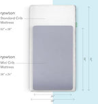 Newton Baby Fitted Mini Crib Sheet 2-Pack, Organic Muslin - Image 2