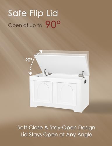 DINZI LVJ Storage Chest, Wooden Toy Box - Image 5
