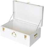 Vixdonos Large Metal Trunk Decorative Storage Box College Dorm Chest by Vixdonos