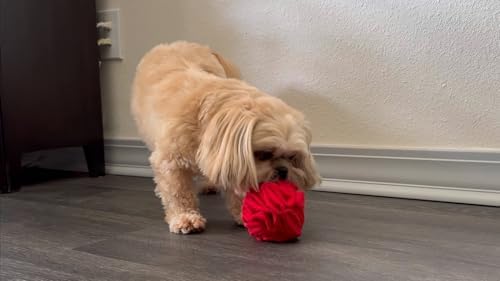 Glory To Dog Puppy/Small Breed Snuffle Dog Puzzle Ball Toy Red - Image 2