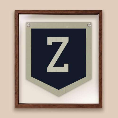 Lacama Toddler Boys Room Decor Name Pennant Flag Z Banner - Image 5