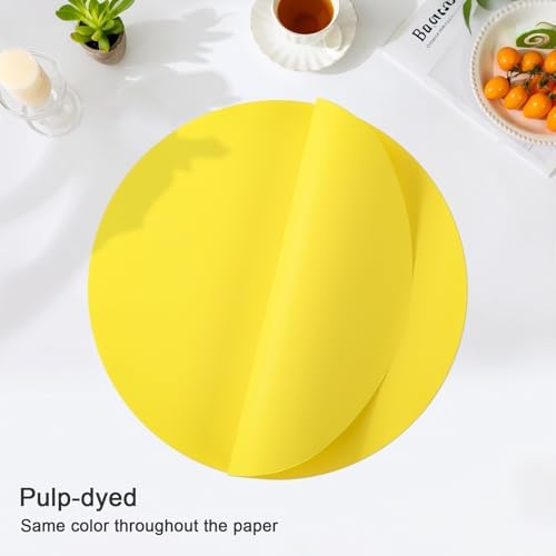 SHACOS 100 pcs Round Paper Placemats Disposable 13 inch Colored Paper - Image 3