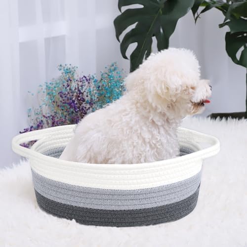 ABenkle Small Basket with Handles, Boho Decorative Rope Woven Dog Cat Toy - Image 4