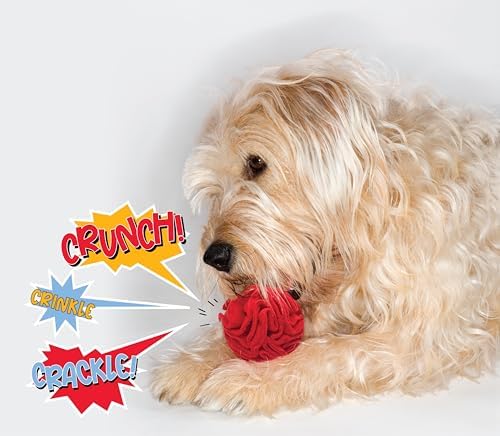 Glory To Dog Puppy/Small Breed Snuffle Dog Puzzle Ball Toy Red - Image 3