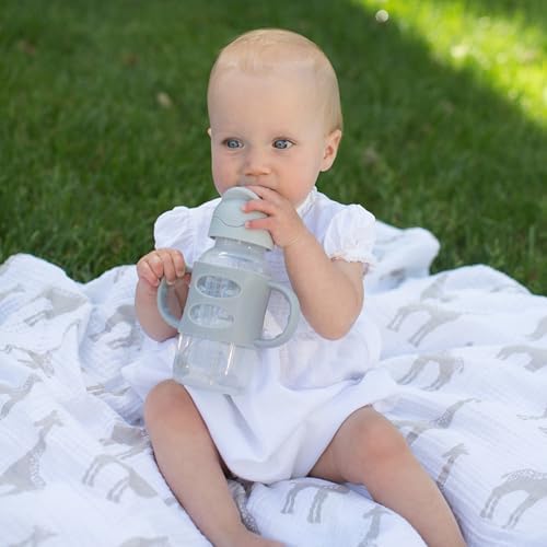 Dr. Brown's Milestones Wide-Neck Sippy Straw Bottle - Image 4