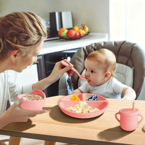 Silicone Baby Feeding Set, Divided Plate, Training Cup, Fruit Feeder & Freezer - Image 5