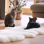 Genuine Real NZ Sheepskin Area Rug Fluffy Lambskin Living Room Ivory 2x3ft - Image 5