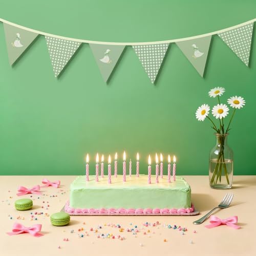 Hahafelt Goose Fabric Banner 1st Birthday Decor, Sage Green - Image 4