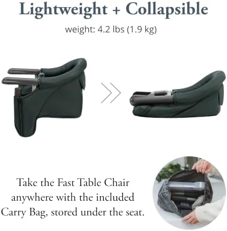 Inglesina Fast Table Chair - Image 4