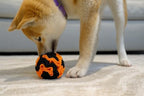 Glory To Dog Puppy/Small Breed Snuffle Dog Puzzle Ball Toy Orange and Black - Image 2