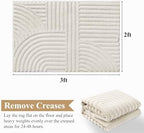 Pauwer 2x3 Area Rugs for Living Room, Modern Non Slip Washable Rug - Image 2