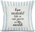 Blue Striped Nursery Throw Pillow Cover, Kids Room Decor, How Wonderful Life is by LRyeisahh