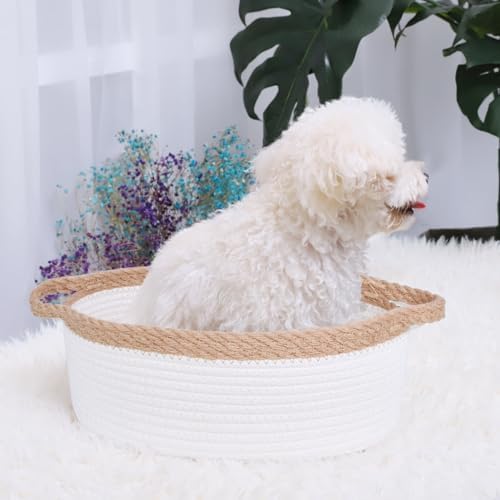ABenkle Small Basket with Handles, Boho Decorative Rope Woven Dog Cat Toy - Image 3