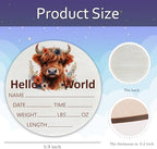 Highland Cow Baby Announcement Sign, Wooden Nursery Name Plaque 6in - Image 3