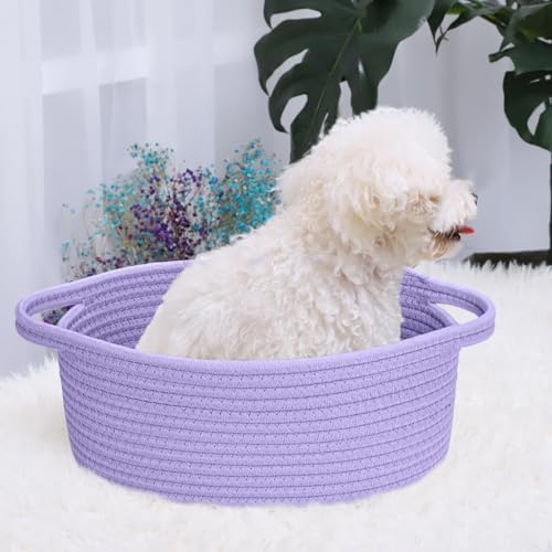 ABenkle Small Basket with Handles, Boho Decorative Rope Woven Dog Cat Toy - Image 5