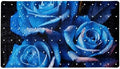 Bathtub Mat Non Slip 26.8x15.1In, Bathroom Decor PVC Shower Mats by Anna+Cowper