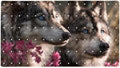 Bathtub Mat Non Slip 26.8x15.1In, Wolf Bath Mat by Anna+Cowper