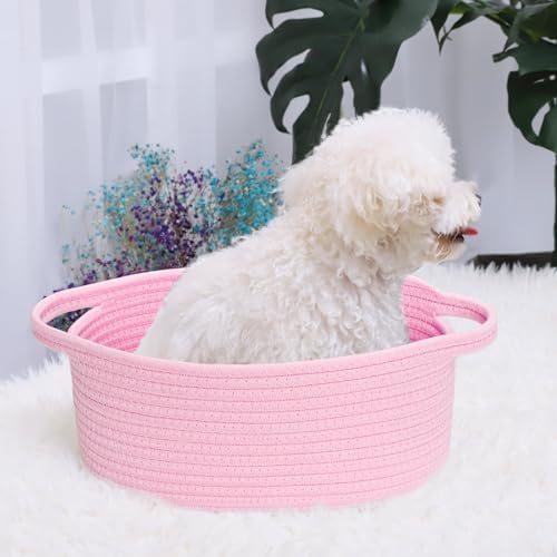 ABenkle Small Basket with Handles, Boho Decorative Rope Woven Dog Cat Toy - Image 5