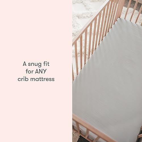 Newton Baby Fitted Crib Sheet 2-Pack, Organic Cotton - Image 6