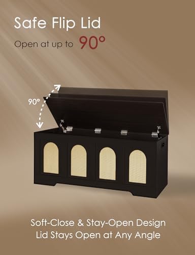 DINZI LVJ Storage Chest, Wooden Toy Box, Espresso Oak 47.2" L - Image 5