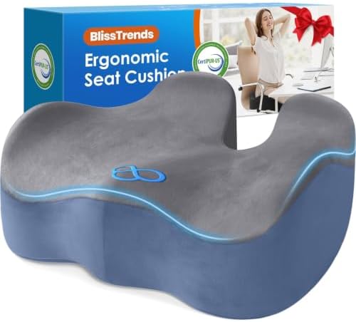 BlissTrends Extra Thick Seat Cushion by BlissTrends
