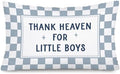 Thank Heaven for Little Boys Pillow Cover 12x20 by Unknown