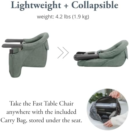 Inglesina Fast Table Chair, Pine Green Melange - Image 4