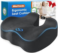 BlissTrends Memory Foam Seat Cushion by BlissTrends