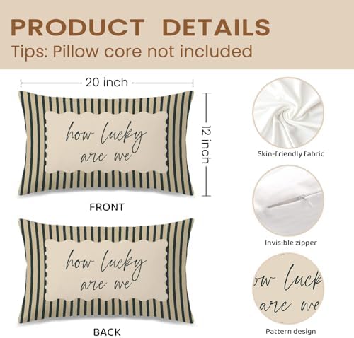How Lucky are We Inspirational Pillow Cover 12x20, Modern Farmhouse Retro - Image 2