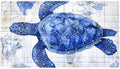Bathtub Mat Non Slip 26.8x15.1In, Turtle Nautical Map Bath Mat by Anna+Cowper