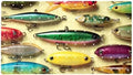 Bathtub Mat Non Slip 26.8x15.1 Inch, Fishing Baits Shower Mat by Anna+Cowper
