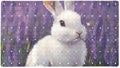 Shower Mat Non Slip 26.8 x 15.1 Inches, Rabbit Flowers Bathtub Mat Shower Stall by Anna+Cowper