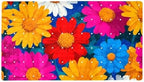 Non Slip Shower Mat Bathtub Mat 15.1x26.8 Inch, Quick Dry Bath Mat by Anna+Cowper