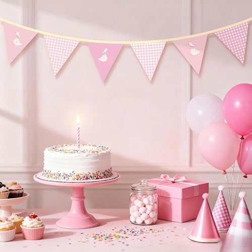 Hahafelt Goose Fabric Banner 1st Birthday Decor - Image 4