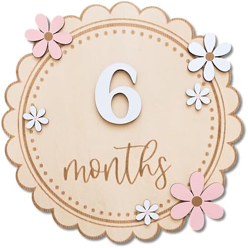 Baby Girl Monthly Milestone Signs, 1-12 Monthly Baby Milestone Girl, Newborn by HiMomWelcomtoMemolebia