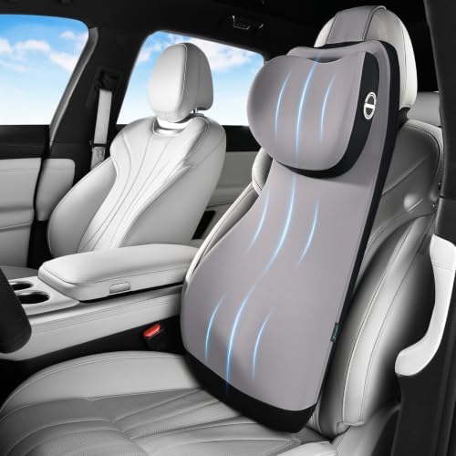 FLORICH Memory Foam Lumbar Support and Headrest Pillow by FLORICH