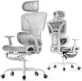 HLDIRECT Ergonomic Mesh Office Chair by HLDIRECT