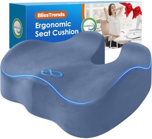 BlissTrends Thick Seat Cushion for Office Chair & Car Seat by BlissTrends