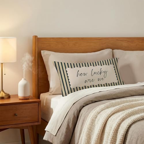How Lucky are We Inspirational Pillow Cover 12x20, Modern Farmhouse Retro - Image 3
