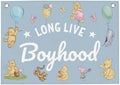 Long Live Boyhood Banner Toddler Boy Room Decor by WXUMTM