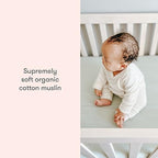 Newton Baby Fitted Crib Sheet 2-Pack, Organic Cotton - Image 5
