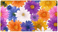 Shower Mat Non-Slip Bathtub Mats by Anna+Cowper
