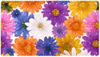 Shower Mat Non-Slip Bathtub Mats by Anna+Cowper