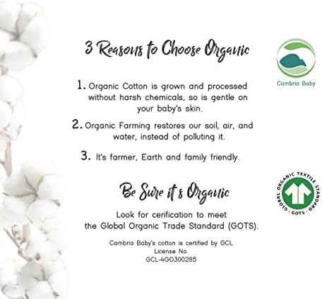 100% Organic Cotton Fitted Bassinet Sheets Perfectly Compatible - Image 4