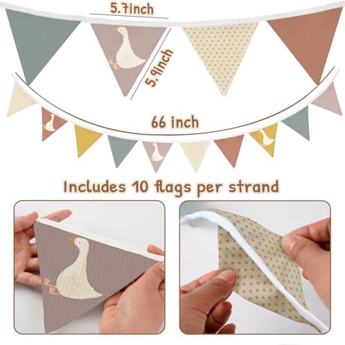 Lacama Goose Birthday Part Decorations，Baby Girls Boys Kids Room Decor - Image 4