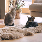 Genuine Real NZ Sheepskin Area Rug Fluffy Lambskin Fur Taupe 2 x 3.2ft - Image 5